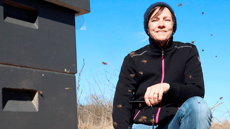 RipaHonung – med smaker från naturen