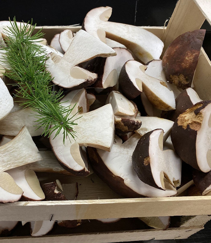 Wermlands skogsförråd levererar en rad olika svampsorter till restauranger i Sverige, Europa och Nordamerika. Kantarell, korallticka och Karl-Johan är några exempel.