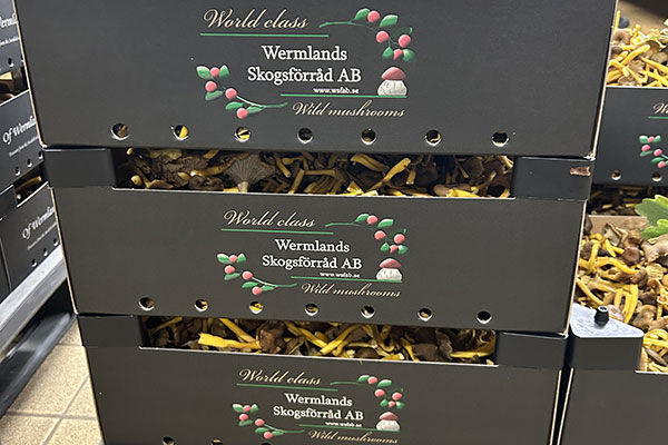 Wermlands skogsförråd, producent till matgrossisten Menigo, är världsledande leverantör av skogssvamp. 