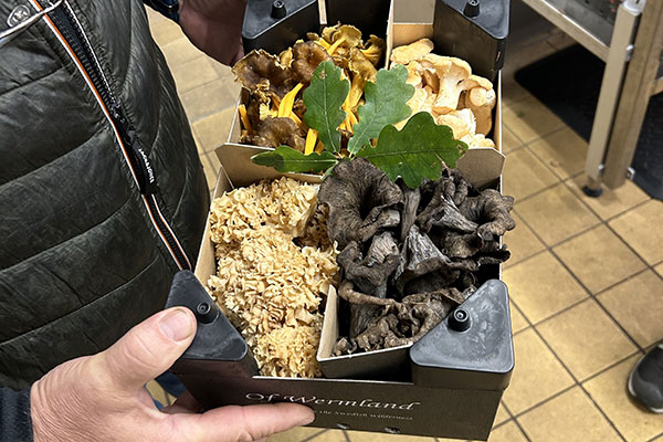 Wermlands skogsförråd levererar ett stort utbud av svamp till matgrossisten Menigo.