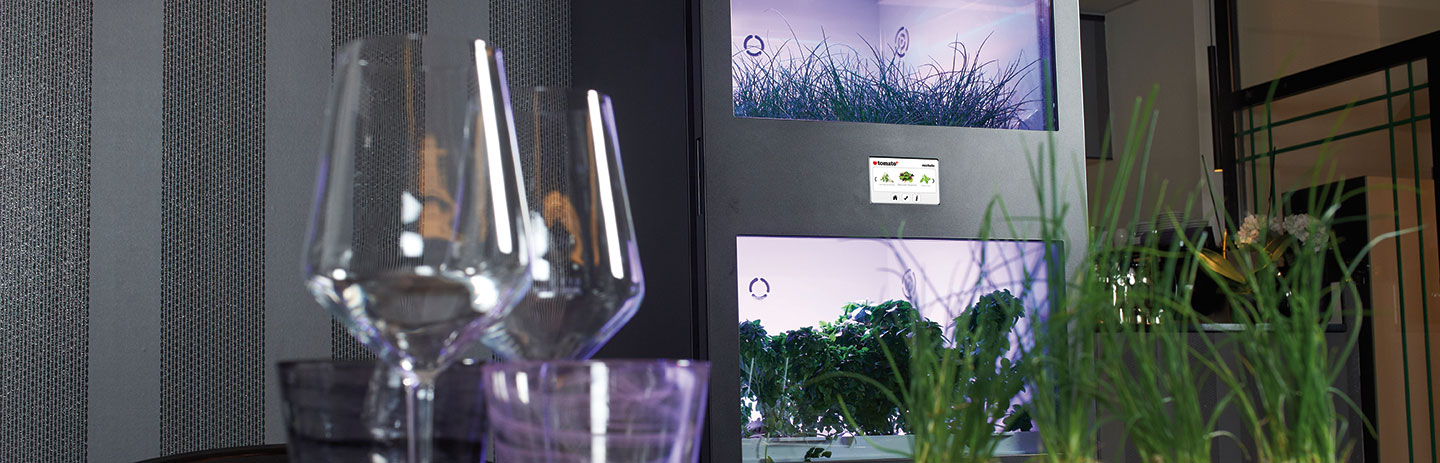 Odla färskt – direkt i ditt kök med Hydroponic