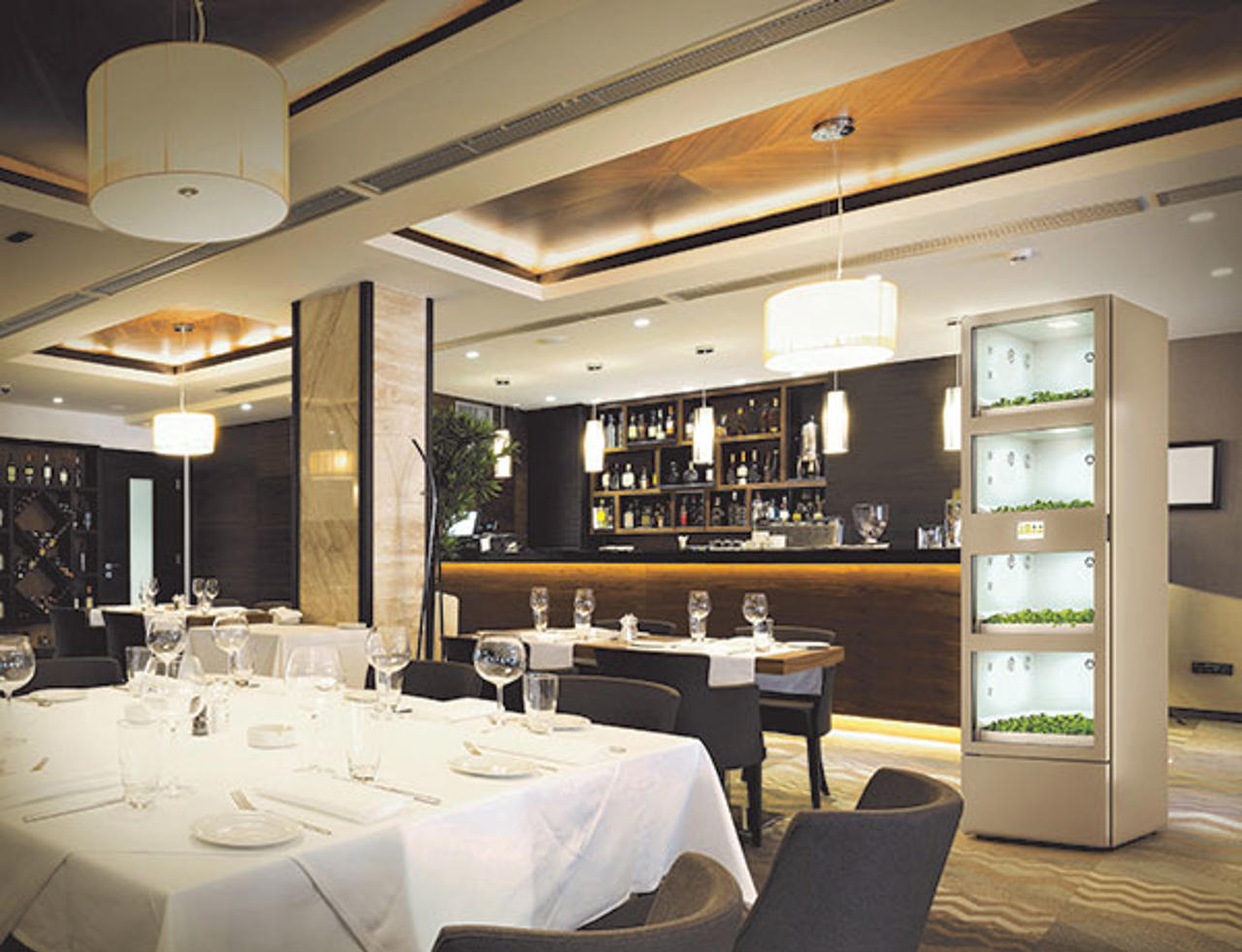 Odlingsskåp från Hydroponic.