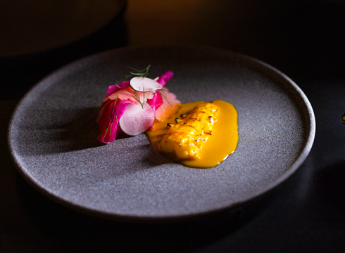 Havskräfta med morot- och havtornsjuice, picklad rättika och kålrabbi